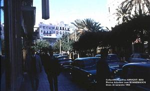 Mas- 060- Oran 